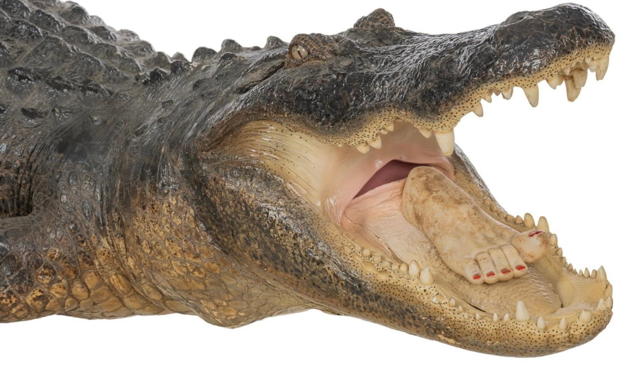 Insta-Gator