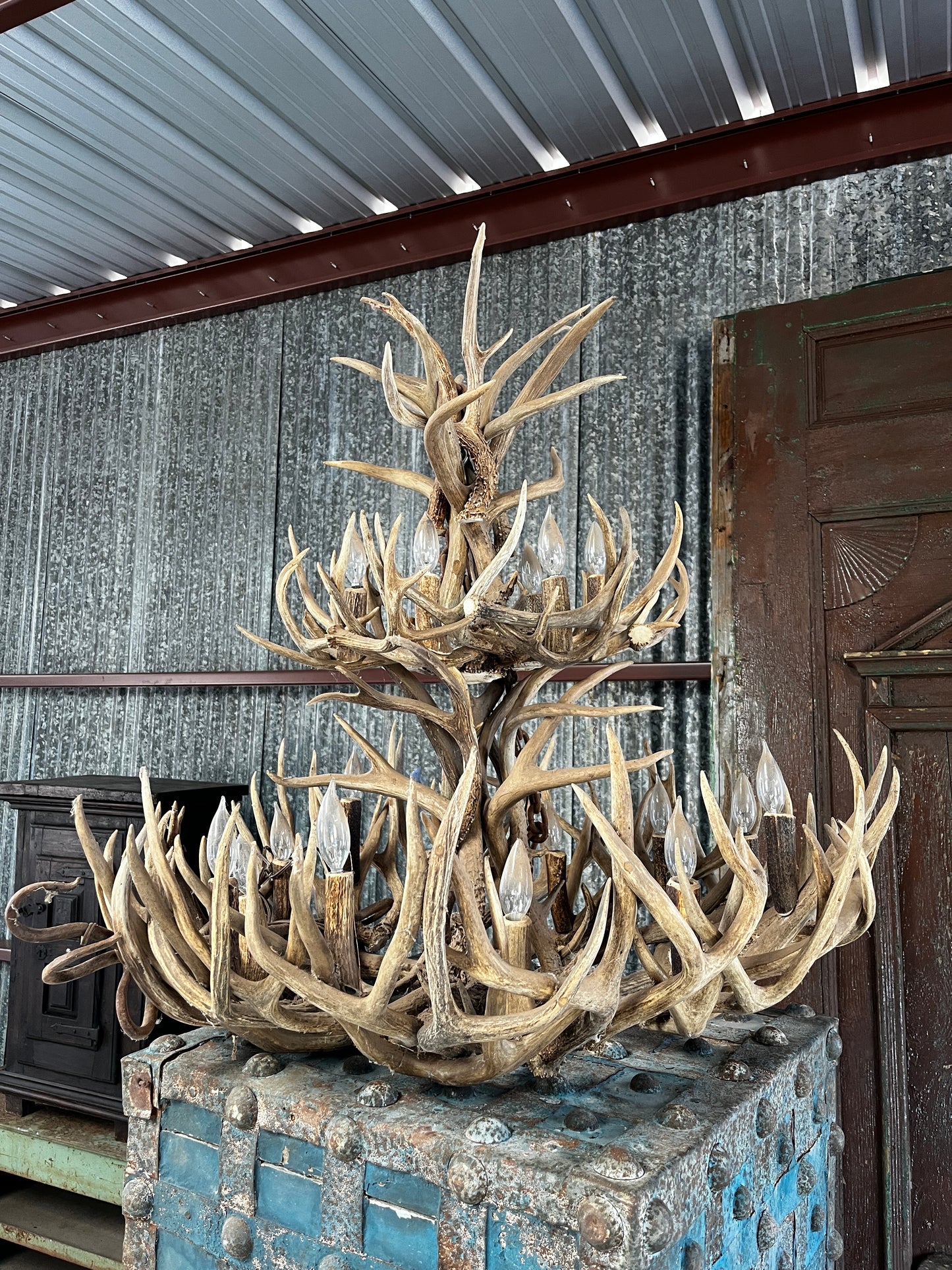 Mule Deer antler chandelier