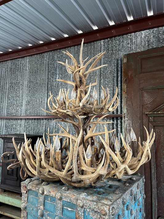 Mule Deer antler chandelier