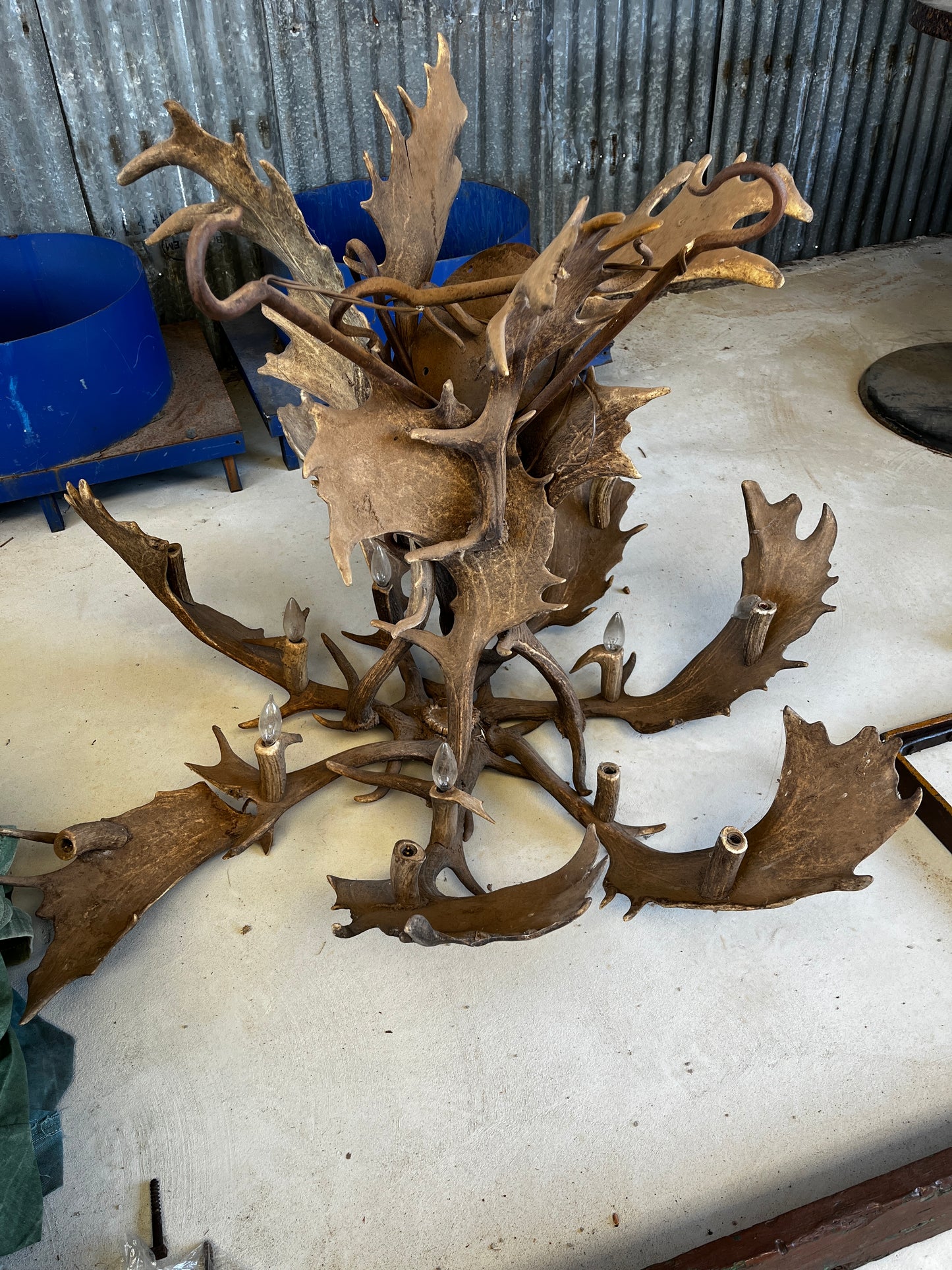 Fallow Deer antler chandelier - small