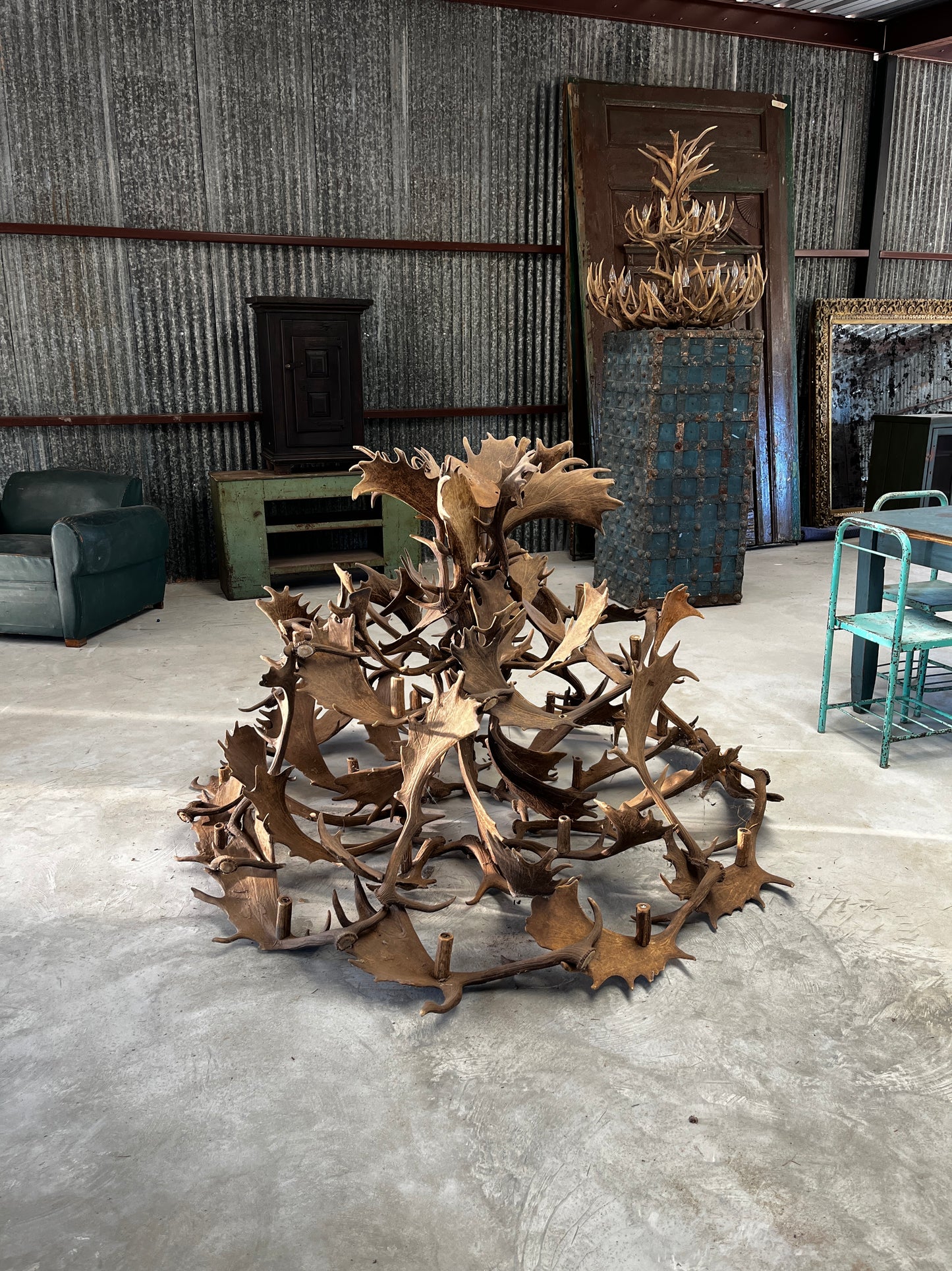 Fallow Deer antler chandelier - large